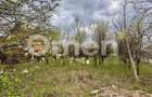 Teren intravilan | 800 mp | zona Marul de Aur | pretabil pentru invest - 3