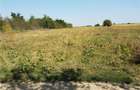 Teren de 1800 mp, în Letca Nouă - 4