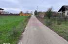 Teren Comana- strada Funieru. - 1