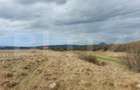 Teren Construcții extravilan de 10000 mp, în Sud-Vest - 4