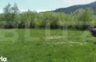 Teren intravilan de vanzare, 1921 mp, zona Vama, Suceava - 4