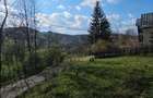 BREBU intravilan 1800 mp, deschidere 29 ml, doar 16.900 - 17