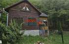 Casa de vacan?a la padure | Teren 891 mp | Valea Ighielului - 15