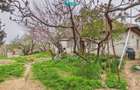 Ieftin - Casa cu teren 842mp, zona Dealuri, Oradea - 6
