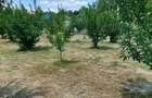 Casă cu 2 camere cu Teren 4500 Mp în Ionești - 8