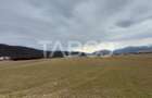 Teren intravilan 11.400 mp deschidere 45 ml in Talmaciu zona de case - 4