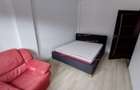 Apartament cu 2 camere semidecomandat în Tătărași - 7