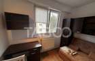 Apartament cu 2 camere decomandat în Turnișor - 9