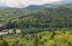 Teren intravilan în Predeal | 2.180 mp | infrastructură existentă - 10