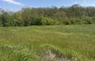 Teren de vanzare Ciofliceni (Snagov) | Locatie excelenta pentru investitie sau locuinta. - 2