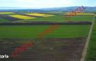 5 terenuri agricole de vanzare in Santionlunca! - 2
