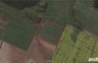 Teren - A1 - Autostrada Bucuresti-Pitesti - 6500mp-4.5 KM Carrefour Militari - 2