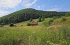 Teren de 5500 mp, în Hurez - 2