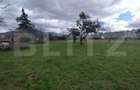 Casă individuală cu 4 camere cu Teren 7500 Mp în Central - 5 Casă individuală cu 4 camere cu Teren 7500 Mp în Central - 5