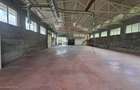 Hala de productie 540mp de închiriat în Borsa pe DN 18 spre Complex - 10