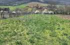 Teren 4,486mp Iordacheanu / Strada Principala - 1