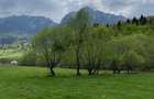 Teren de vanzare Zarnesti Brasov Piatra craiului
