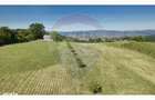 Teren 20.170mp | Livada | Suncuius, Bihor - 2