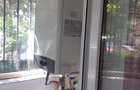 Apartament 2 camere de inchiriat zona Tomis 3 - 4
