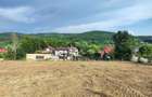 Teren de vanzare intravilan Stefanesti, Arges - 12