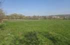 Teren Intravilan 1,5 Ha | Deschidere 180ml | T-7760