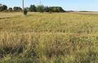 Vanzare teren intravilan Crivat Judetul Calarasi (30 km distanta de Bucuresti)fac - 1