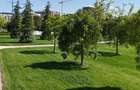 Apartament 2 camere, Parc Privat, Paza, Parcare - 10