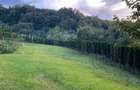Vanzare teren 3000 mp, cabana, zona D D Rosca, Faget