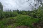 Teren intravilan, 2300mp, zona Hardic, Horodnic de Sus, Rada - 1