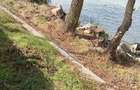 Vand Teren Delta Dunarii in Crisan, Tulcea