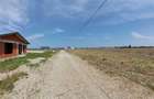 Teren Sanmartin 501 m2 PUZ, utilitati, drum public - 7