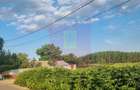 VANZARE TEREN 2150 MP IN SAT TEISORI (GR) - 11