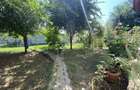 vila in stil mediteranean Snagov/Vladiceasca - 13