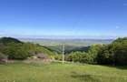 Teren de 3230 mp, în Băișoara