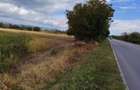 Teren Extravilan\ 3678 Mp\ Obreja Jud. Caras- Severin