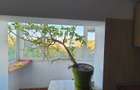 inchiriez apartament cu o camera, Dacia, aproape de pasajul Octav Bancila - 6