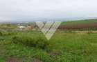 Investitie - Teren intravilan 536 mp Sura Mare ideal constructii - 4