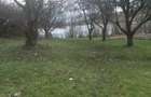 Teren intavilan de vanzare 7800 mp pe malul lacului, Moacsa - 5