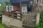 Vand casa cu teren intravilan 9 ari, bucatarie si pivnita