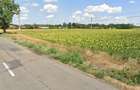 Teren intravilan - Cotorca - Buzau - Toate utilita?ile - Deschidere DJ203