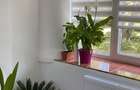 Apartament Deveselu, Olt - 1