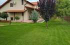 Casa Premium In Carei Proprietate Deosebita, Amenajata Complet - 14