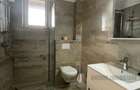  Apartament 1 camera - decomandat - Giroc - 300 euro  - 3