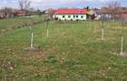 De vanzare sau SCHIMB - 4