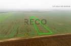 RECO Teren extravilan 5800 mp Livada de Bihor - 9