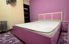 Ap 2 cam tip D et 1 Calea Aradului,renovat,mobilat,utilat,ocupabil - 10