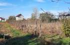 Teren de 1500 mp, în Vânători - 9