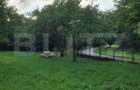 Casa de vanzare, 135 mp si 5 hectare de teren, langa Deva - 1