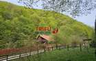 Casă de vacanță la pădure | Teren 891 mp | Valea Ighielului - 16