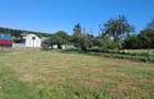 Oferta. Proprietar vand teren intravilan - 5